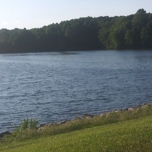 Meet your Posher, Isidra